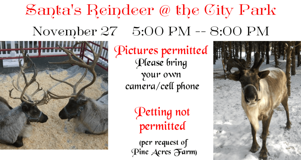 Santa's Reindeer at the City Park